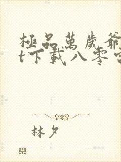 极品万岁爷txt下载八零电子书