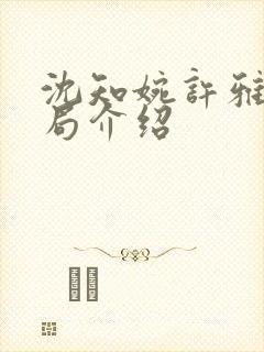 沈知婉许雅大结局介绍