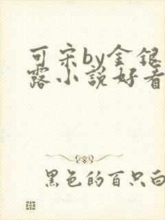 可宋by金银花露小说好看吗