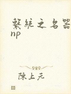 系统之名器攻略np