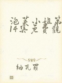 泡芙小姐第六季14集免费观看全集封面