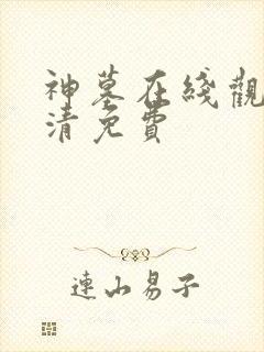 神墓在线观看高清免费