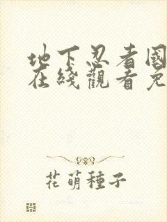 地下忍者国语版在线观看免费观看高清版封面