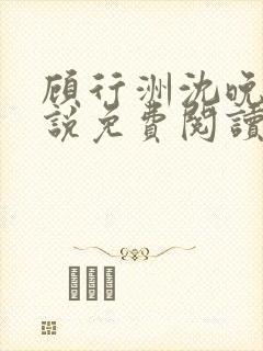 顾行洲沈晚宁小说免费阅读最新章节