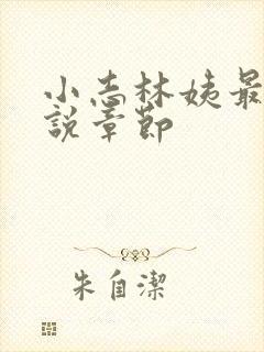 小志林姨最新小说章节