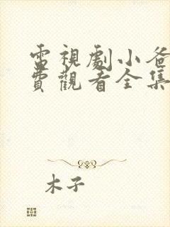 电视剧小爸爸免费观看全集高清封面