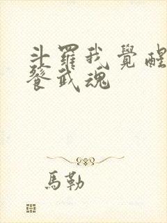 斗罗我觉醒了饕餮武魂