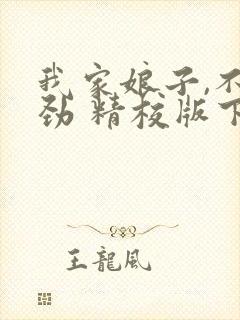 我家娘子,不对劲 精校版下载封面