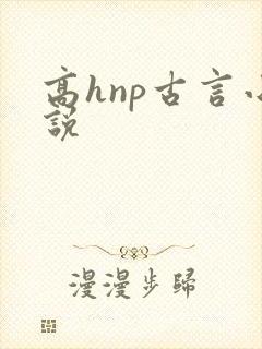 高hnp古言小说
