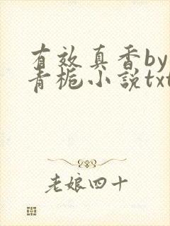 有效真香by酌青栀小说txt