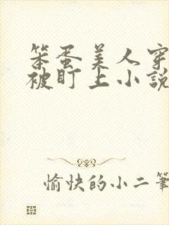 笨蛋美人穿书后被盯上小说免费阅读