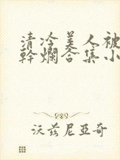 清冷美人被坏种干烂合集小说封面