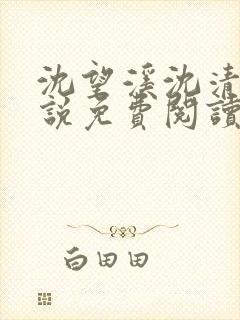 沈望溪沈清若小说免费阅读最新章节封面