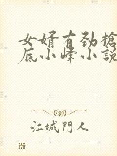 女婿有劲枪枪到底小峰小说