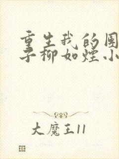 重生我的团长妻子柳如烟小说