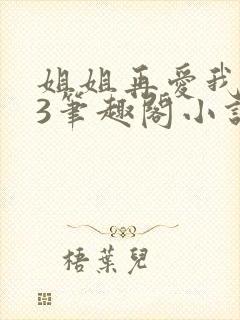 姐姐再爱我一次3笔趣阁小说