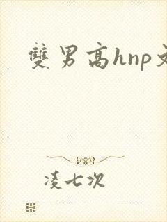 双男高hnp文