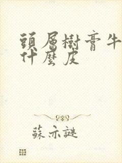 头层树膏牛皮是什么皮