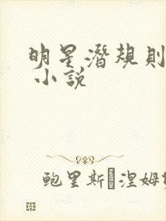 明星潜规则之皇 小说