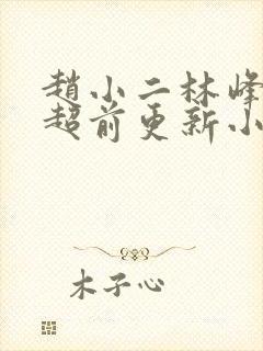 赵小二林峰宁欣超前更新小说