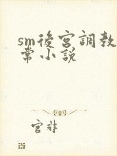 sm后宫调教日常小说封面