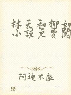 林天和柳如烟的小说免费阅读