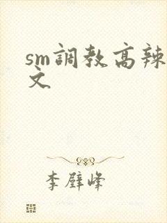 sm调教高辣h文
