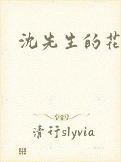 沈先生的花式调封面