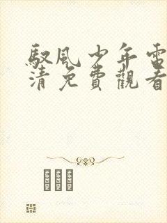 驭风少年电影高清免费观看