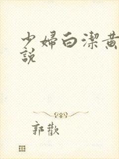 少妇白洁黄色小说封面