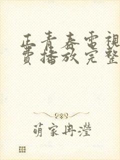 正青春电视剧免费播放完整版19集