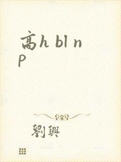 高h bl np封面