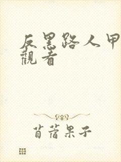 反黑路人甲在线观看