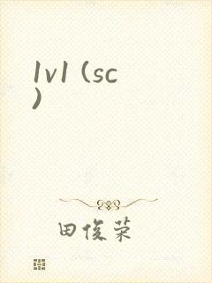 1v1 (sc)封面