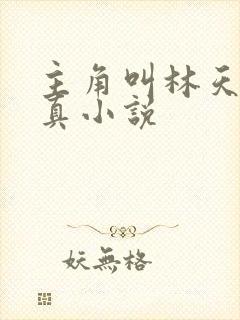 主角叫林天的修真小说