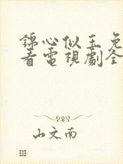 锦心似玉免费观看电视剧全集西瓜