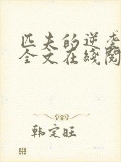 匹夫的逆袭小说全文在线阅读