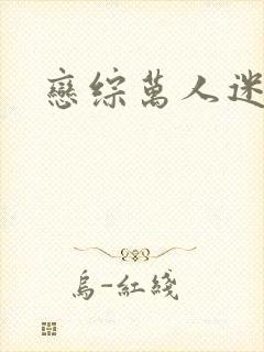 恋综万人迷封面