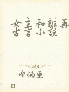 女主和离再嫁的古言小说