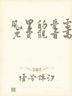 风里的爱电视剧免费观看高清