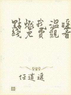 点燃我温暖你在线免费观看电视剧封面