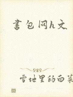 书包网h文