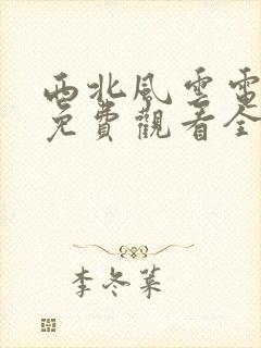 西北风云电视剧免费观看全集