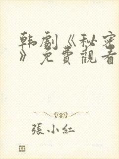 韩剧《秘密关系》免费观看全集