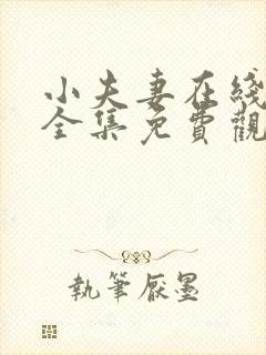 小夫妻在线观看全集免费观看高清