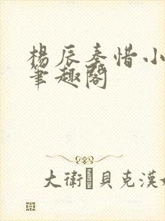 杨辰秦惜小说 笔趣阁