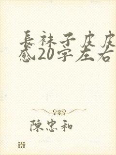 长袜子皮皮读后感20字左右封面