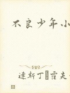 不良少年小说封面