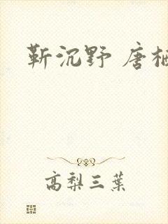 靳沉野 唐栖雾