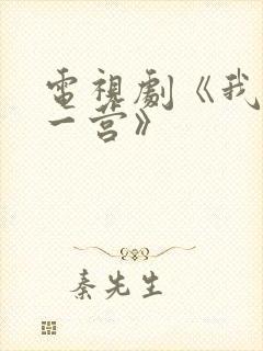 电视剧《我的特一营》